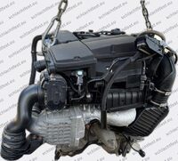 Mercedes SLK 200 Kompressor R171  184ps  271954 Motor Bild 4