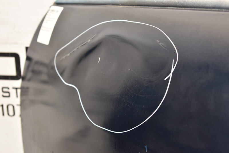Mercedes S Klasse W221 Tür Vorne Links Blau Bild 2