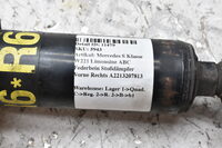 Mercedes S Klasse W221 W216 ABC Federbein Stoßdämpfer Vorne Rechts A2213207813 Bild 8